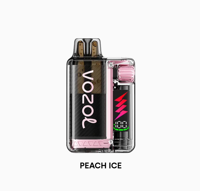 Vozol Vista Plug 10000 Peach ice