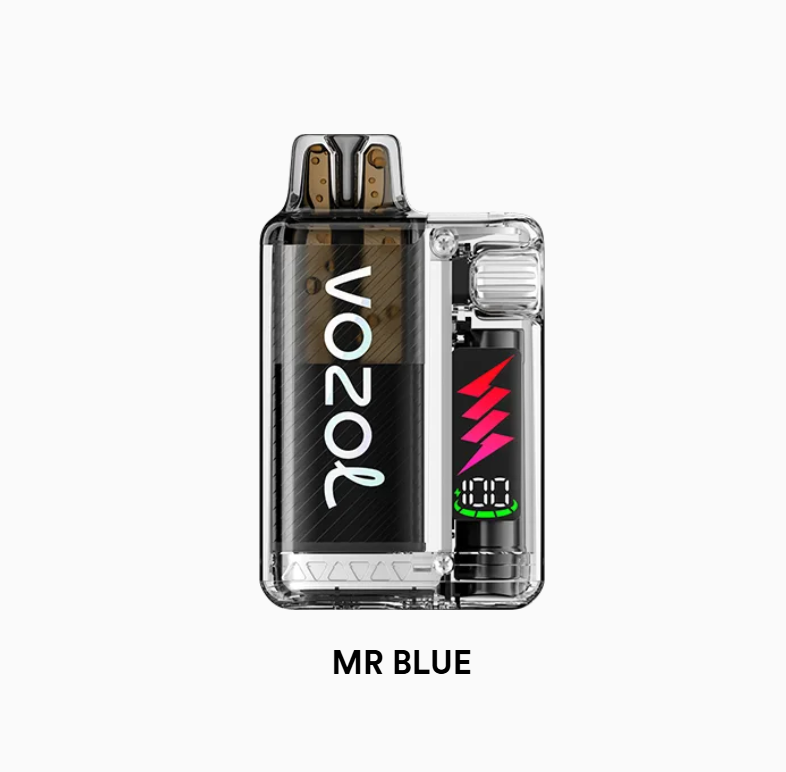 Vozol Vista Plug 10000 Mr Blue